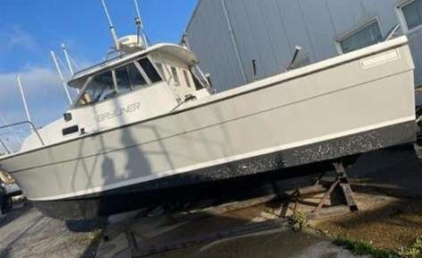 贝琳娜（Bayliner）800二手游艇竞拍价6000欧元起