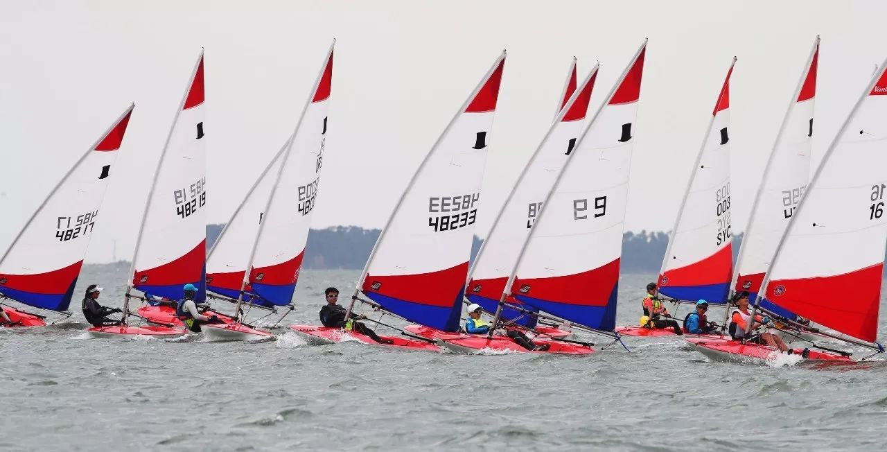 2024上海市青少年帆船联赛（夏季赛）竞赛通知