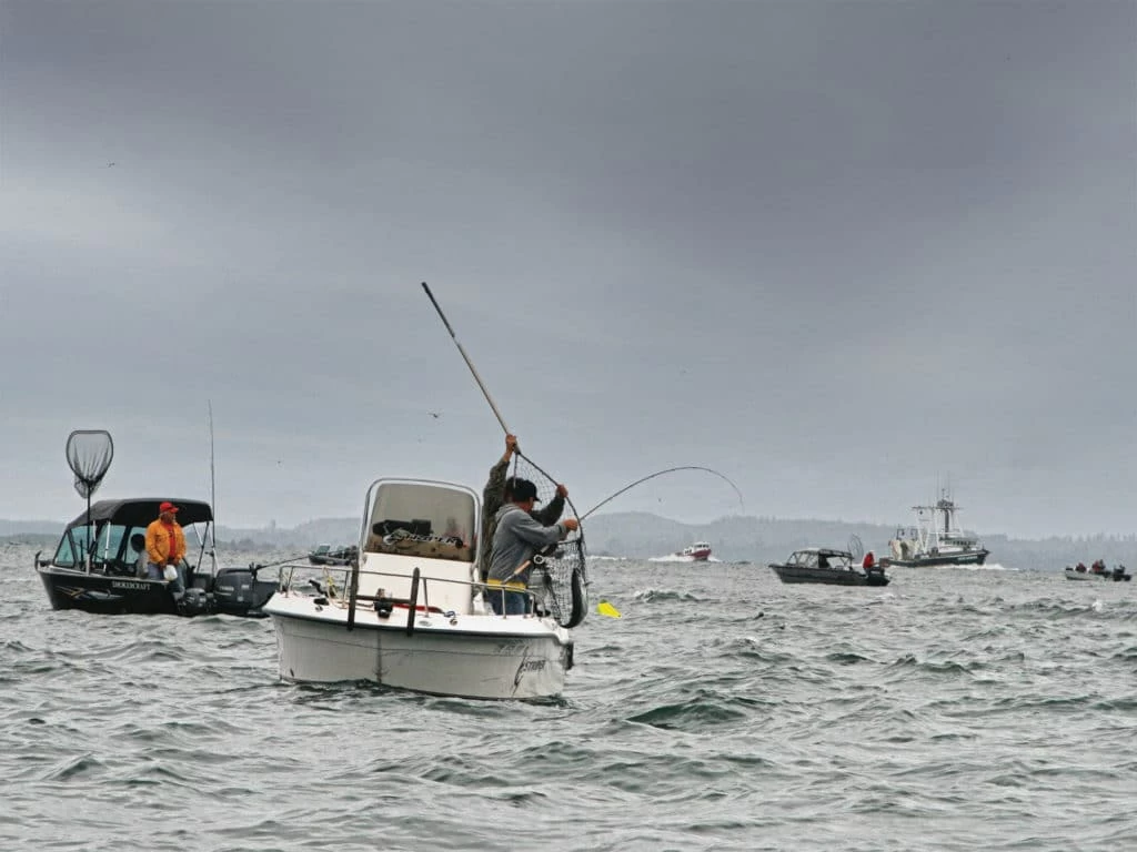 如何践行正确的垂钓礼仪