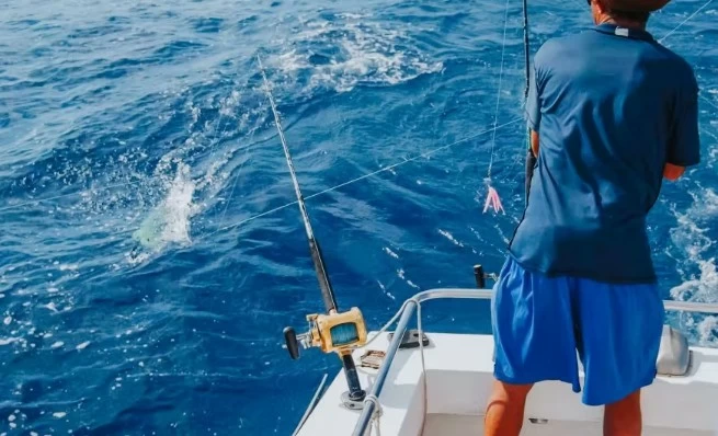 北海租游艇钓鱼价格多少钱？不同船型价格一览